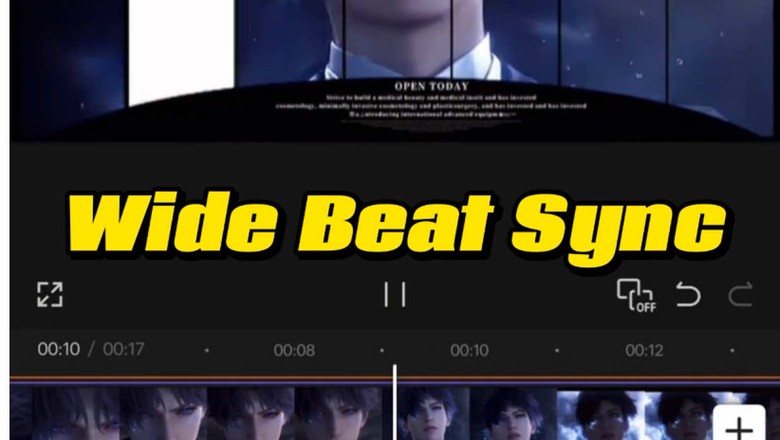 Wide Beat Sync Panel Montages — 3.5M views