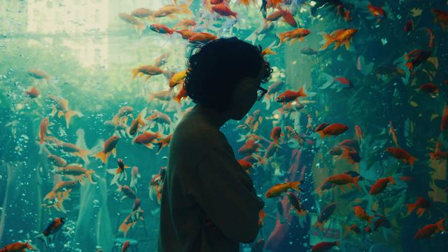 Cinematic Color-Grade Push-In by @dablack.otter on TikTok