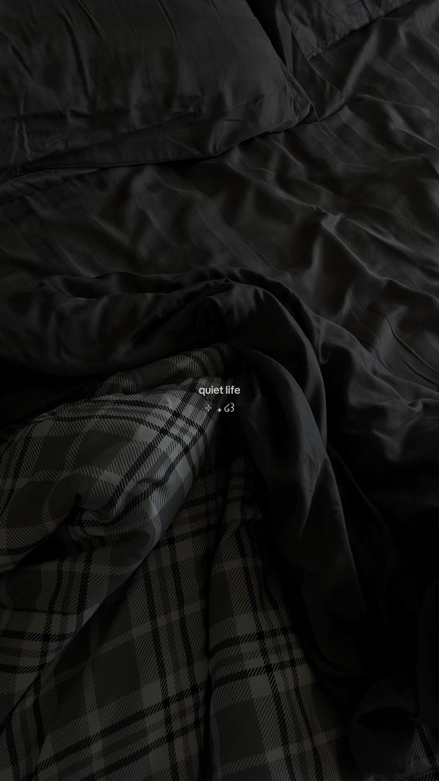 Muted Silent Vlog Edit by @lalunafleurs on TikTok