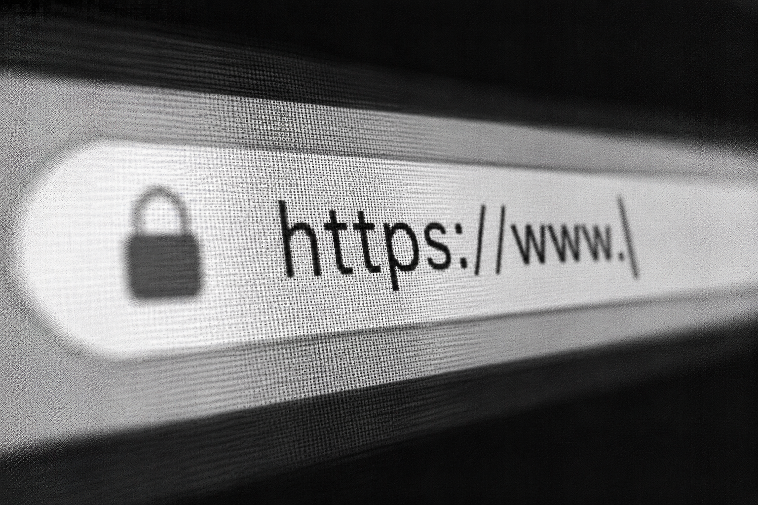 Bootstrap a brand kit from one URL. Close-up of a browser URL bar.